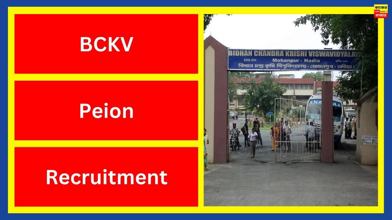 BCKV Peion Recruitment 2024